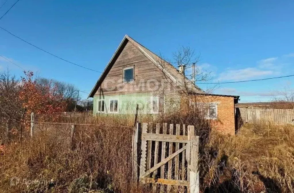Дом в Пензенская область, Белинский район, с. Свищевка Молодежная ул., ... - Фото 0