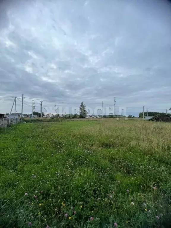 Участок в Кемеровская область, Кемеровский муниципальный округ, с. ... - Фото 1