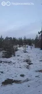 Участок в Читинский район, село Преображенка (12 м) - Фото 1