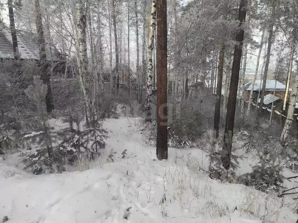 Участок в Иркутская область, Иркутский муниципальный округ, с. Мамоны, ... - Фото 1