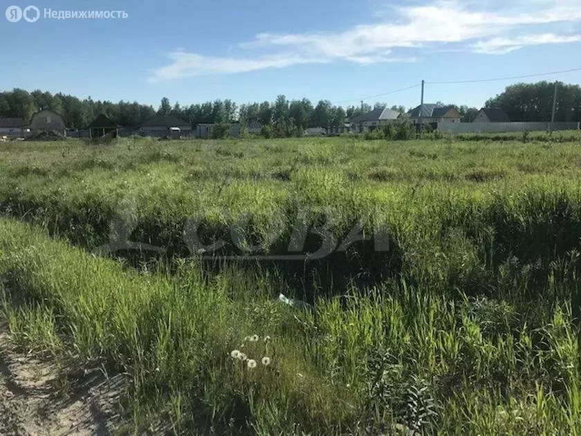 Участок в Тюменский район, деревня Якуши, коттеджный посёлок Сан ... - Фото 0