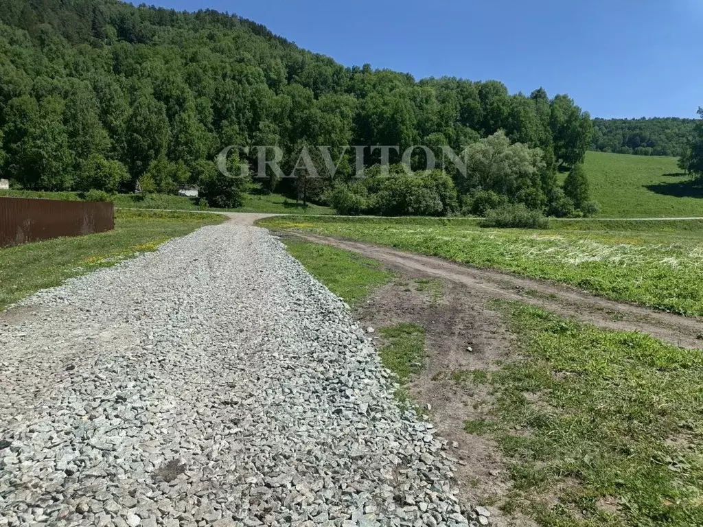 Участок в Алтай, Майминский район, с. Бирюля ул. Молодежная (6.5 сот.) - Фото 1