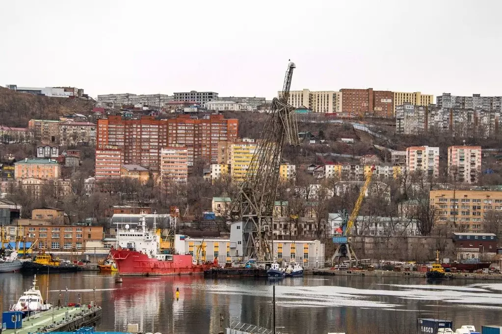 3-к кв. Приморский край, Владивосток ул. Калинина, 11А/1 (80.0 м) - Фото 1