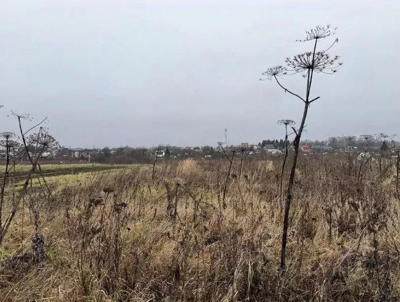 Участок в Московская область, Серпухов городской округ, д. Большое ... - Фото 1