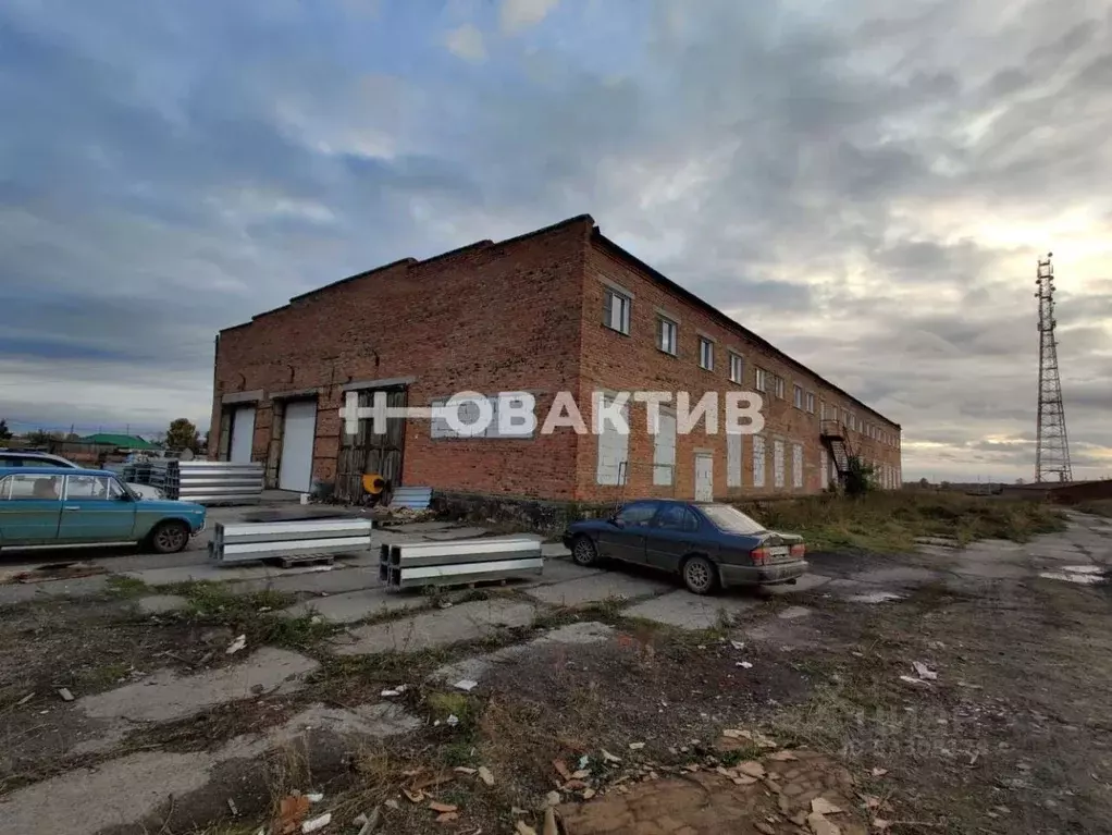 Производственное помещение в Новосибирская область, Колыванский район, ... - Фото 0