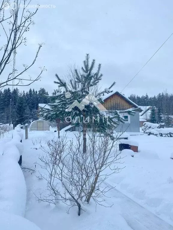 Дом в село Шуйское, Лесная улица, 20 (46.2 м) - Фото 1