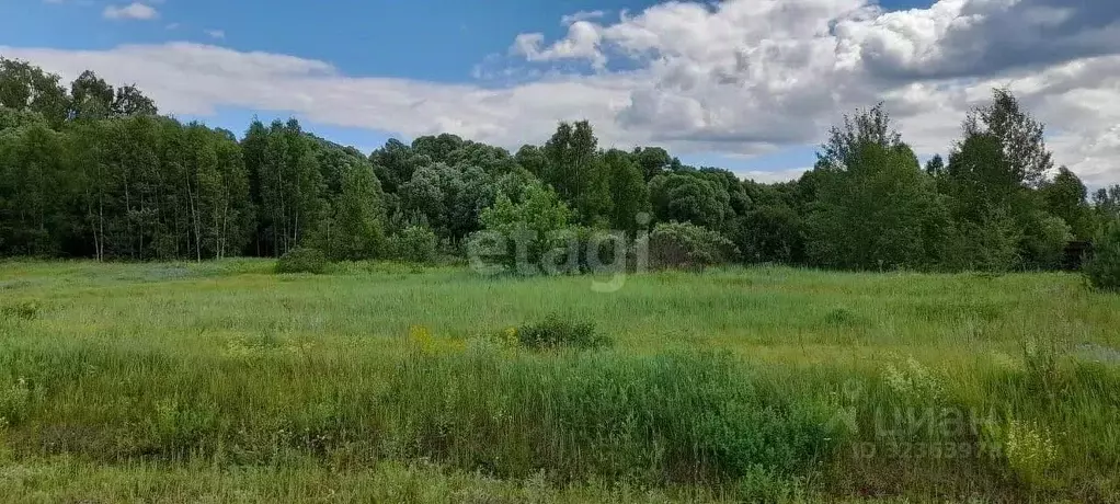 Участок в Владимирская область, Ковровский район, Новосельское с/пос, ... - Фото 1