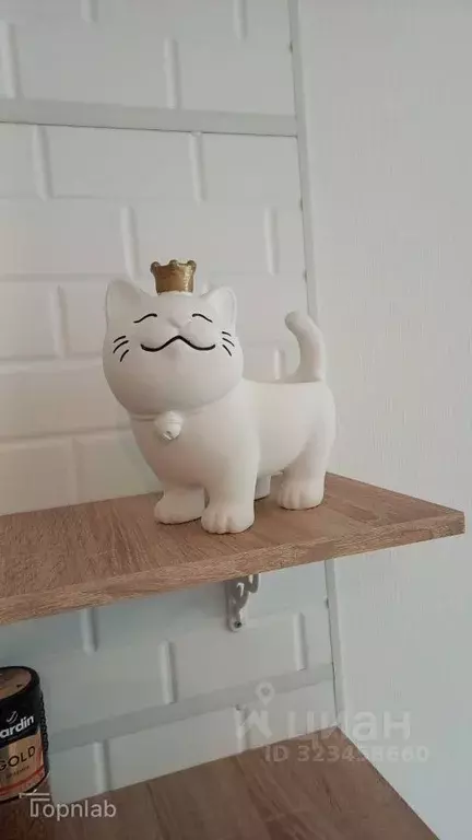 Студия Санкт-Петербург ул. Пахомовская, 18к2 (20.0 м) - Фото 2