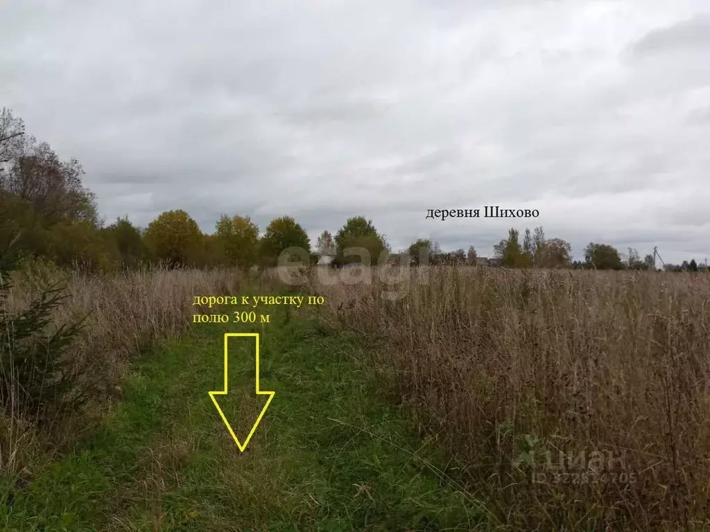 Участок в Вологодская область, Усть-Кубинский муниципальный округ, д. ... - Фото 2