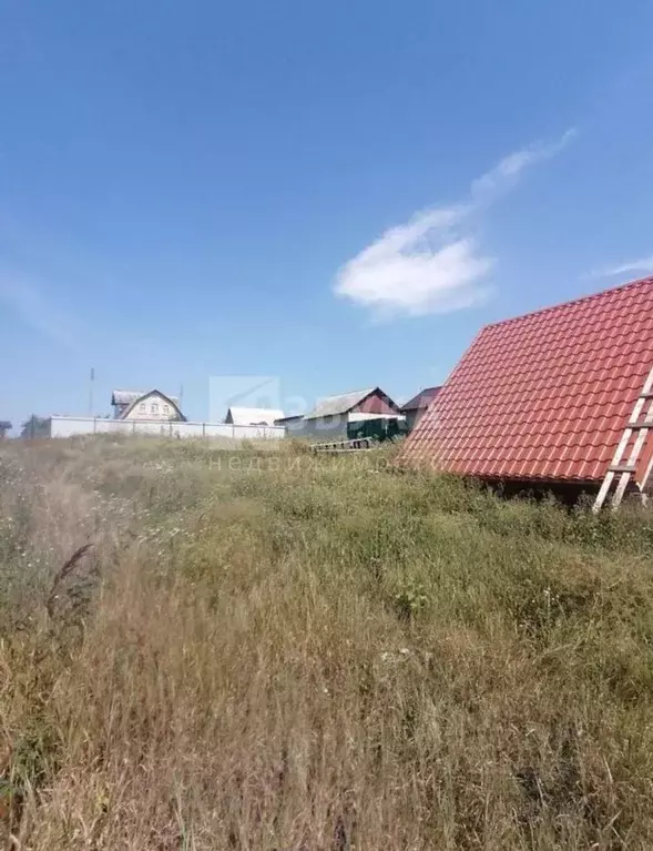 Участок в Воронежская область, Хохольский район, Гремяченское с/пос, ... - Фото 0