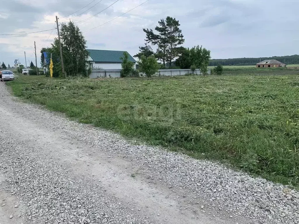 Участок в Новосибирская область, Новосибирский район, Ярковский ... - Фото 1