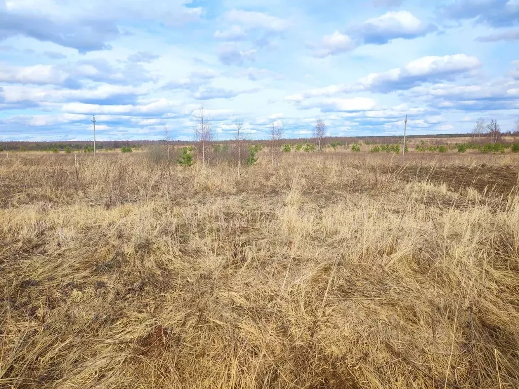 Участок в Нижегородская область, Арзамас городской округ, с. Хватовка, ... - Фото 1