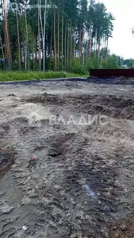 Участок в Свердловское городское поселение, садоводческое ... - Фото 0