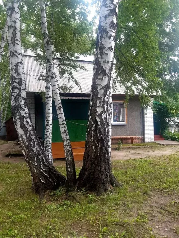 Дом в Омская область, Омск СОСН Строитель-88/1 тер.,  (52 м) - Фото 1
