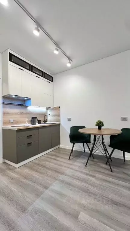 Студия Санкт-Петербург Дальневосточный просп., 19к1 (24.5 м) - Фото 1