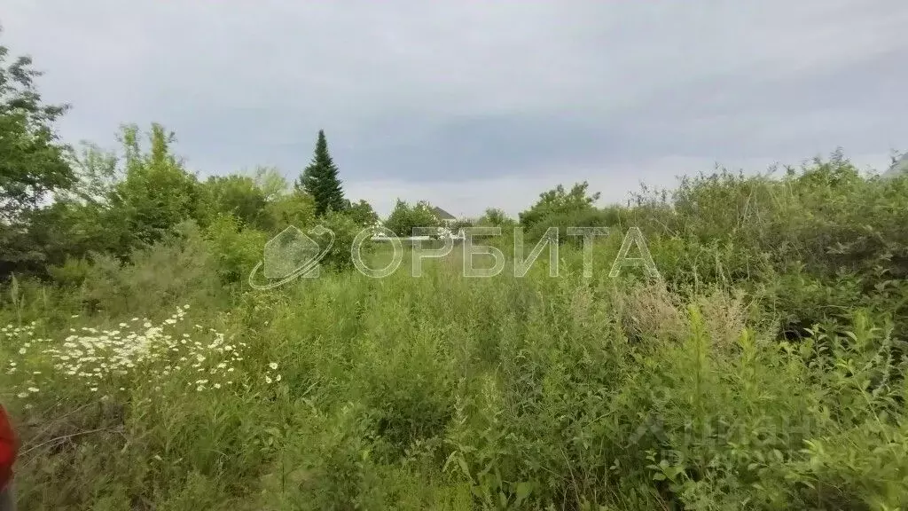 Участок в Тюменская область, Тюмень Садовое товарищество Липовый ... - Фото 0