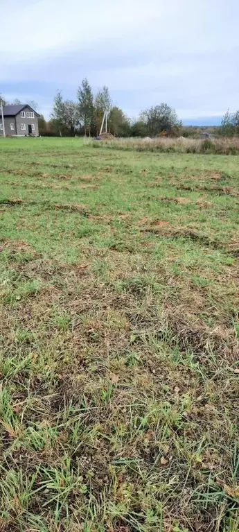Участок в Ярославская область, Ярославский муниципальный округ, д. ... - Фото 1