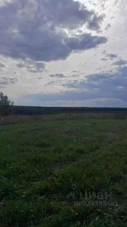 Участок в Марий Эл, Морки городское поселение, д. Балдырка ул. ... - Фото 2