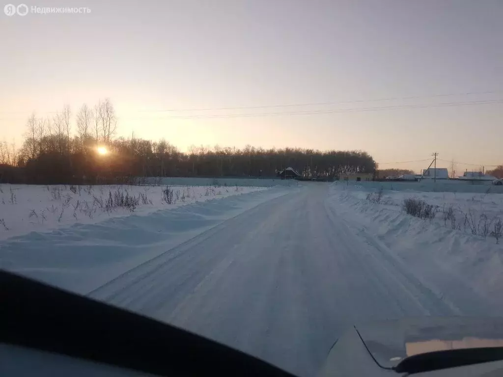 Участок в Пушкинское сельское поселение, деревня Давыдовка (9 м) - Фото 2