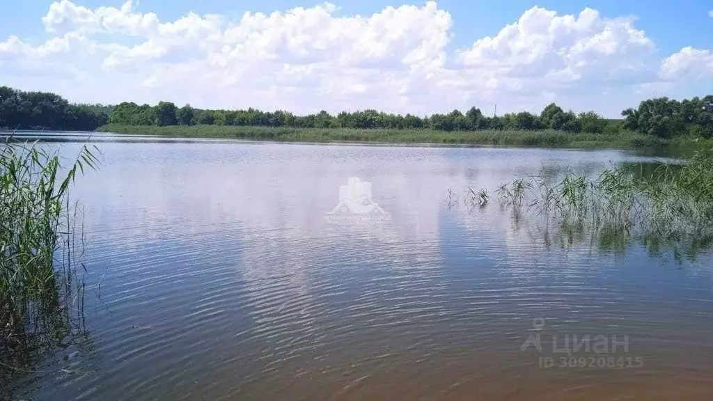 Участок в Белгородская область, Белгородский район, Веселолопанское ... - Фото 1