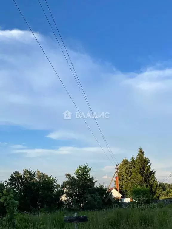 Участок в Владимирская область, Суздальский район, Селецкое ... - Фото 2