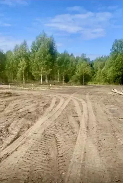 Участок в Московская область, Клин городской округ, д. Микляево 3 (8.0 ... - Фото 2