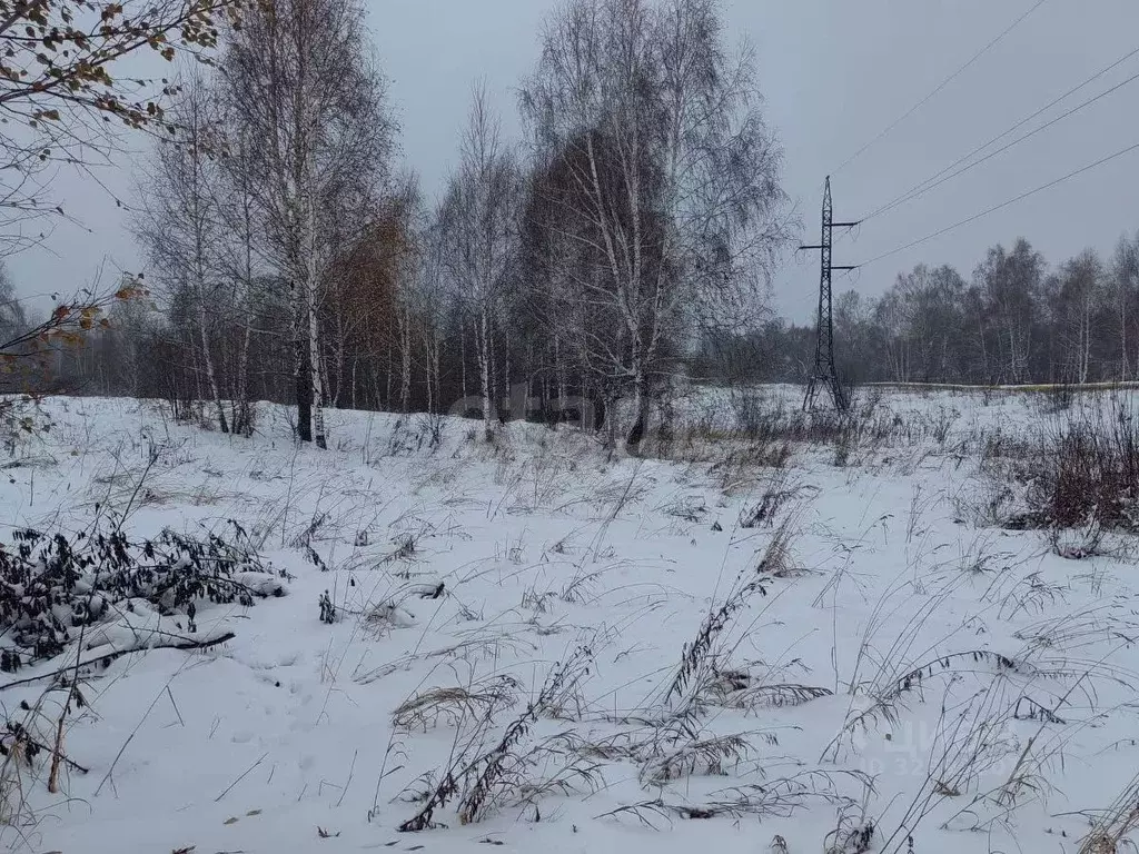 Участок в Кемеровская область, Кемерово ул. Федоровича (13.0 сот.) - Фото 1
