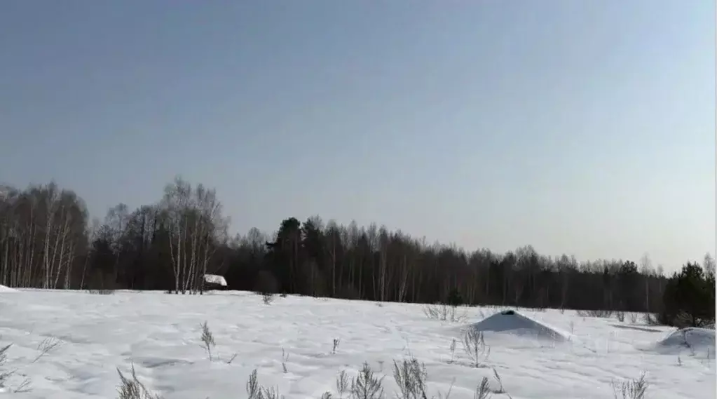 Участок в Московская область, Орехово-Зуевский городской округ, д. ... - Фото 1