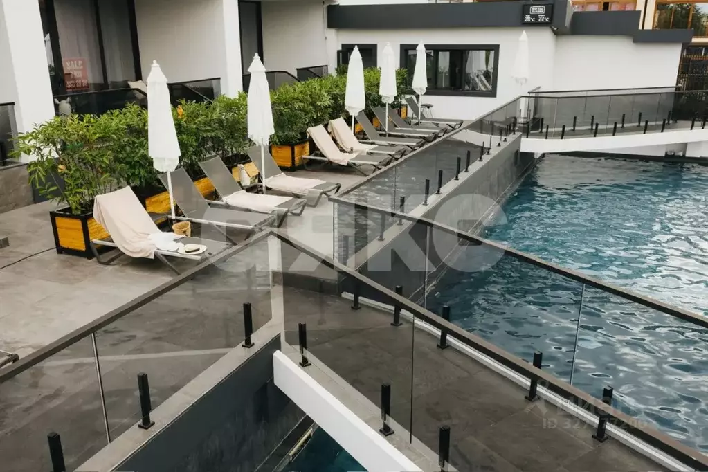 Студия Краснодарский край, Сочи ул. Ленина, 217Ак2 (21.0 м) - Фото 1