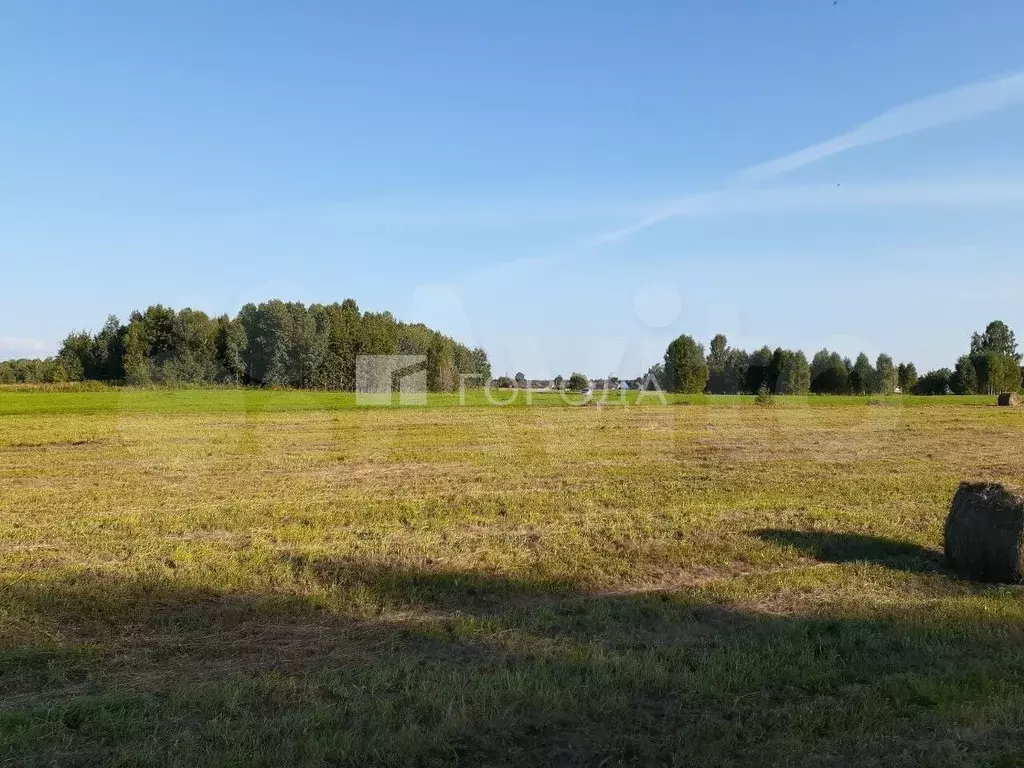 Участок 1,68 га (СНТ, ДНП) - Фото 0