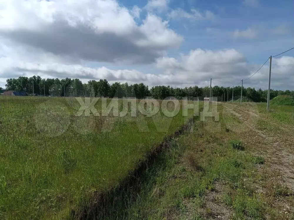 Участок 9,6 сот. (СНТ, ДНП) - Фото 0