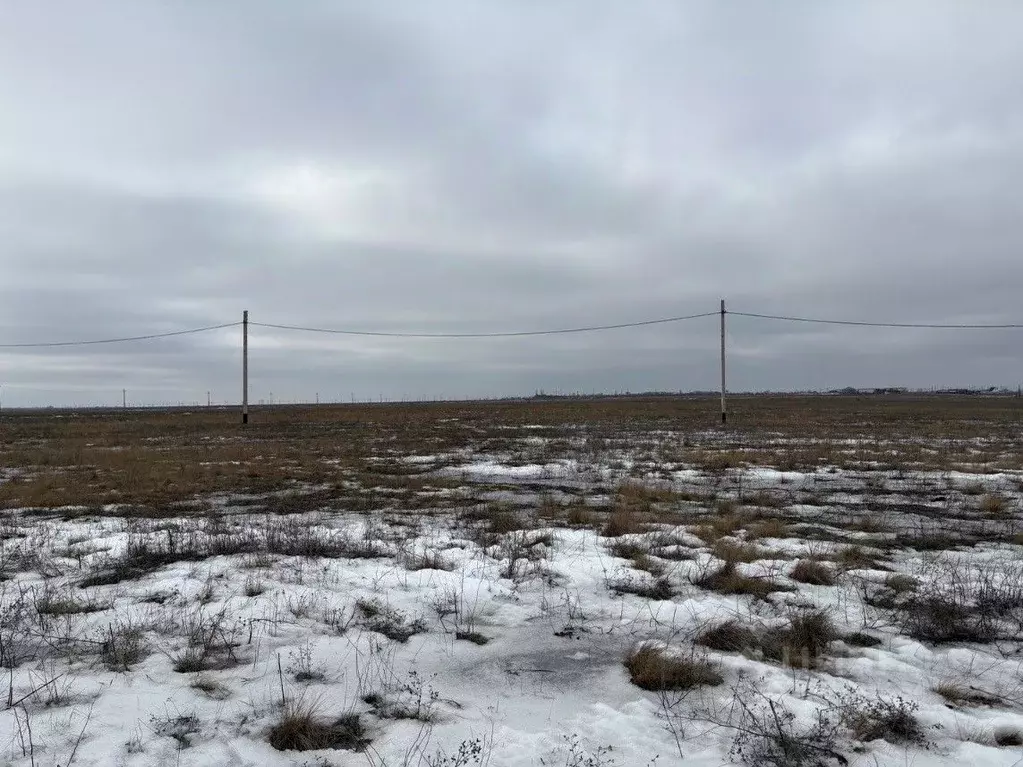 Участок в Волгоградская область, Волгоград пос. Верхняя Ельшанка, ул. ... - Фото 1