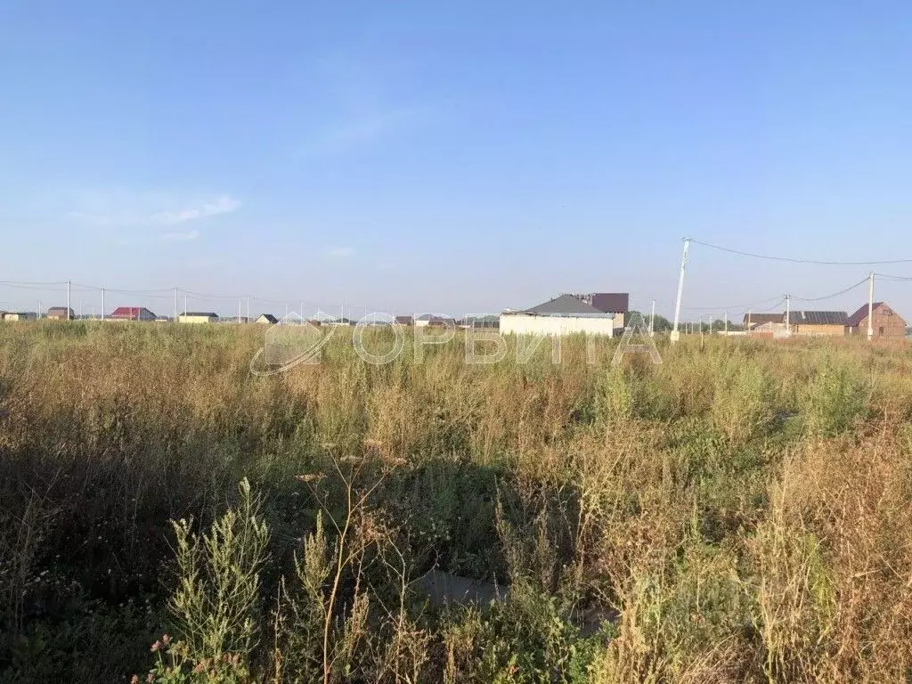 Участок в Тюменская область, Голышмановский городской округ, д. ., Купить  земельный участок Малиновка, Тюменский район, ID объекта - 20006729486