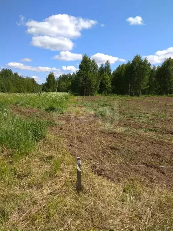 Участок в Вологодская область, Кирилловский муниципальный округ, д. ... - Фото 1