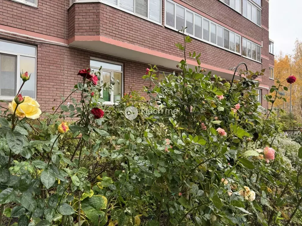 3-к кв. Татарстан, Казань ул. Академика Глушко, 6 (109.1 м) - Фото 1