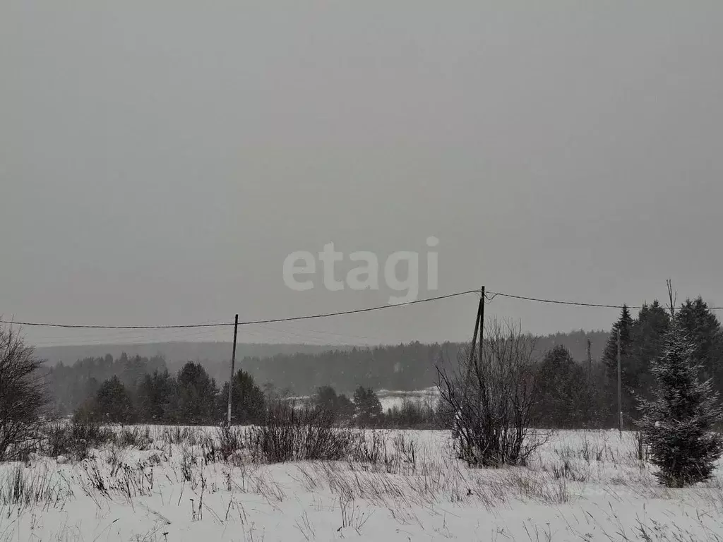 Дом в Свердловская область, Нижний Тагил № 3 ОАО НТМК СНТ, ул. ... - Фото 2