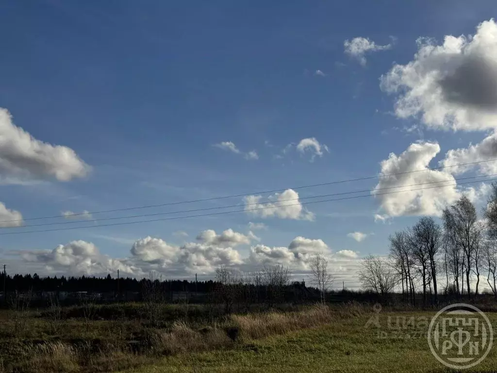 Участок в Ленинградская область, Ломоносовский район, Лопухинское ... - Фото 2