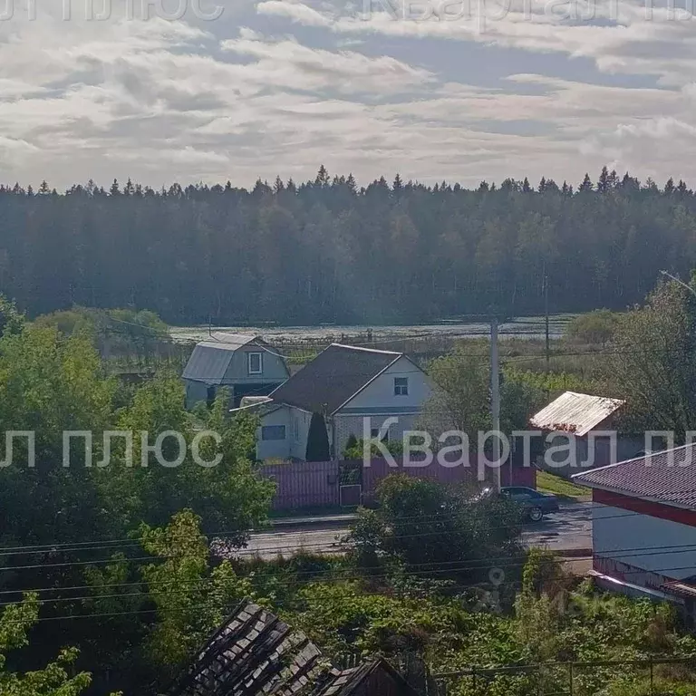 2-к кв. Ленинградская область, Волосовский район, д. Большая Вруда 2 ... - Фото 1
