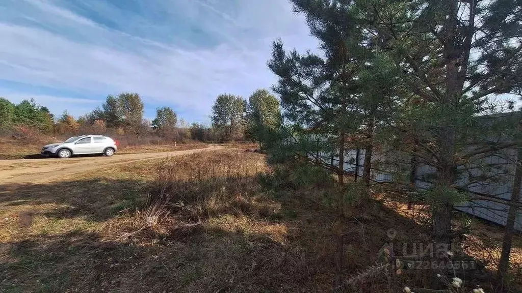 Участок в Оренбургская область, Бузулукский район, Сухореченский ... - Фото 1