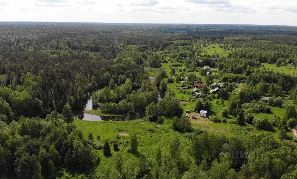 Участок в Нижегородская область, Чкаловск муниципальный округ, д. ... - Фото 1