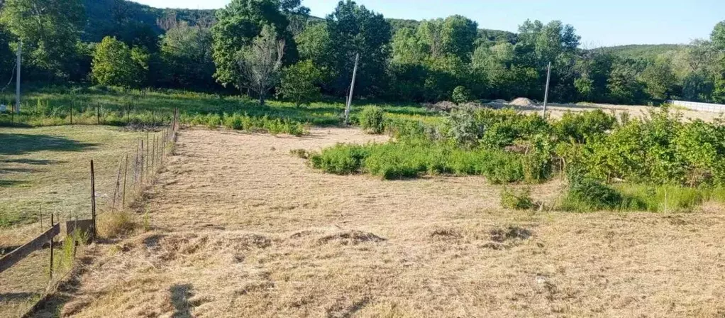 Участок в Краснодарский край, Анапа муниципальный округ, с. Сукко ул. ... - Фото 1