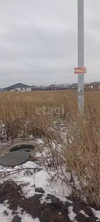 Участок в Белгородская область, Белгородский район, пос. Майский, ... - Фото 0