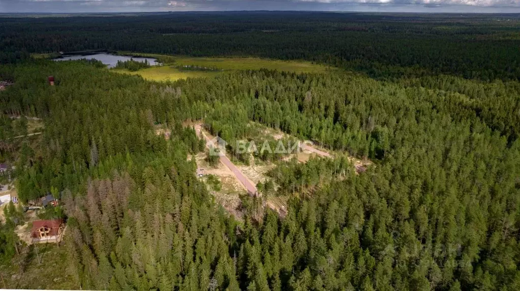 Участок в Ленинградская область, Выборгский район, Рощино пгт проезд ... - Фото 1