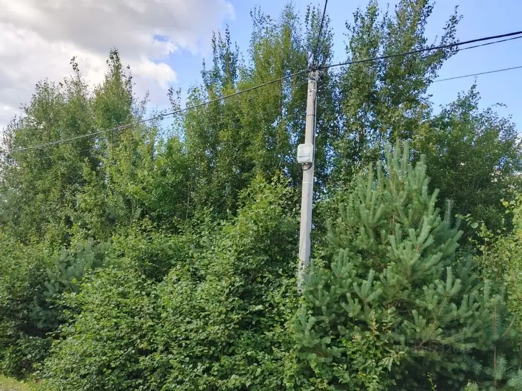 Участок в Ленинградская область, Всеволожский район, Агалатовское ... - Фото 1
