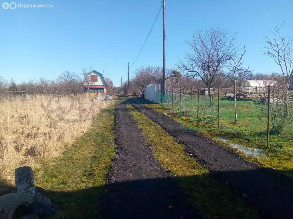 Участок в Калининградская область, Багратионовский муниципальный ... - Фото 2