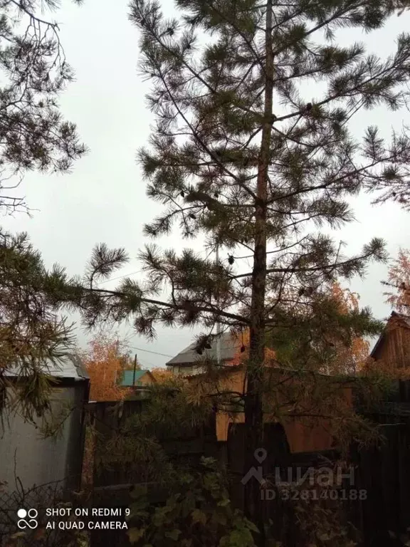 Дом в Саха (Якутия), Якутск просп. Ленина (36 м) - Фото 2