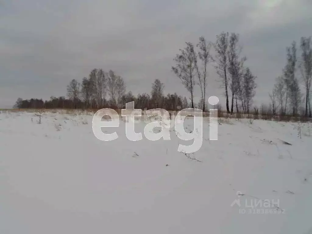 Участок в Курганская область, Шадринск ул. Фофанова (10.0 сот.) - Фото 1