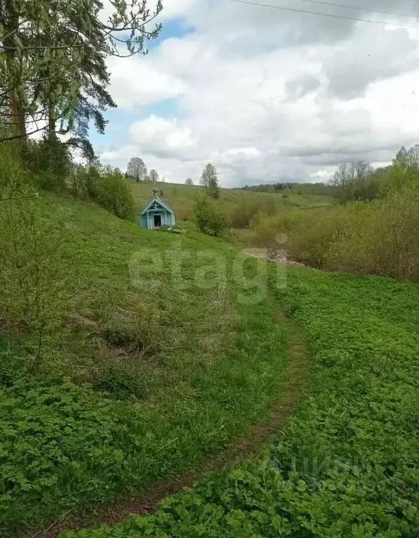 Дом в Тверская область, Фировский муниципальный округ, д. Сонка  (50 ... - Фото 1