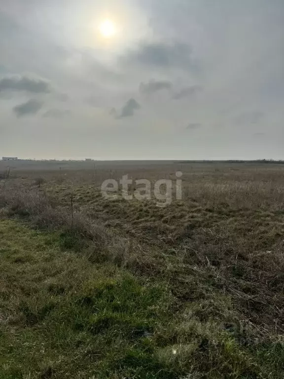 Участок в Крым, Черноморский район, с. Межводное ул. Пограничная (10.1 ... - Фото 0