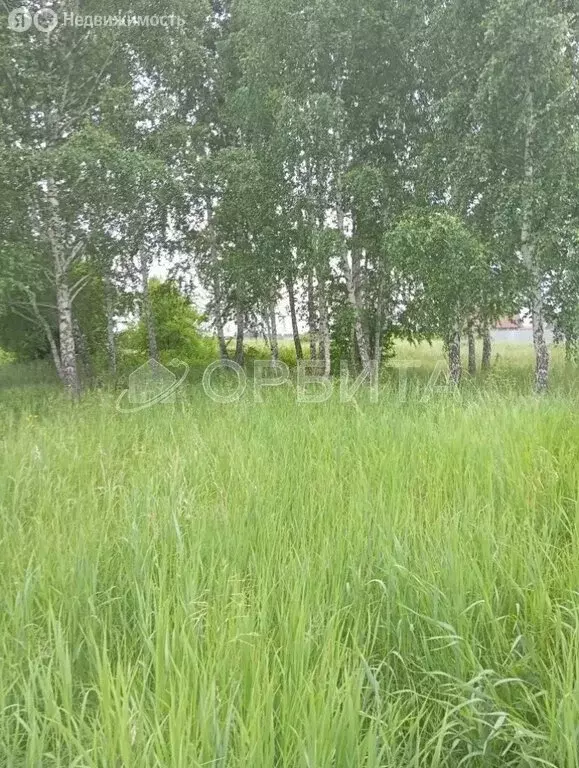 Участок в Тюменская область, Ялуторовский муниципальный округ, садовое ... - Фото 1